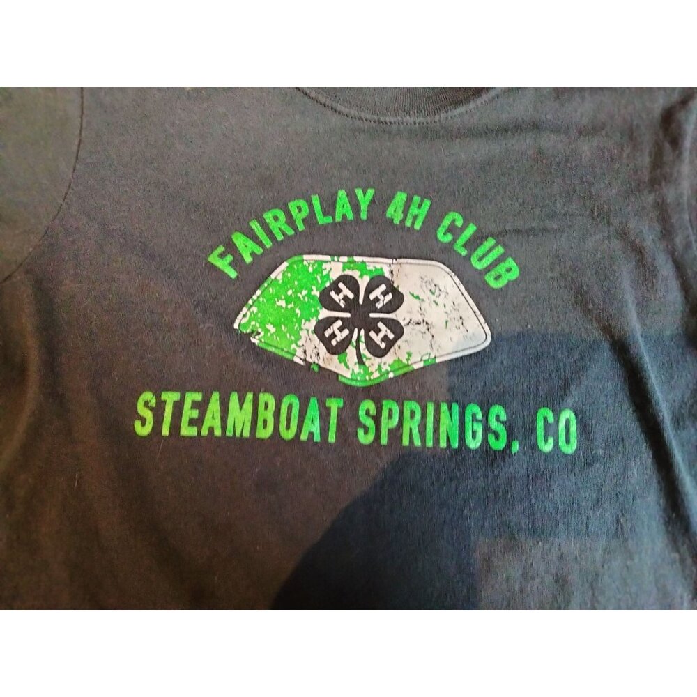 T Shirt Gray Fairplay Southpark Colorado Youth Size Large 4H club Steamboat